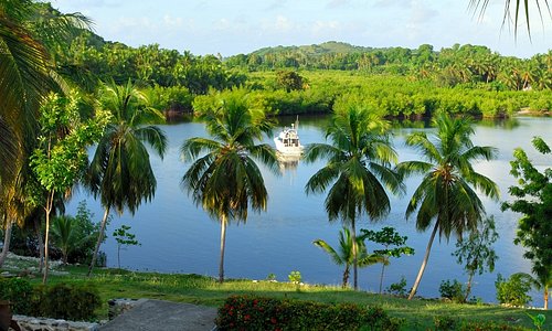 Île à vache